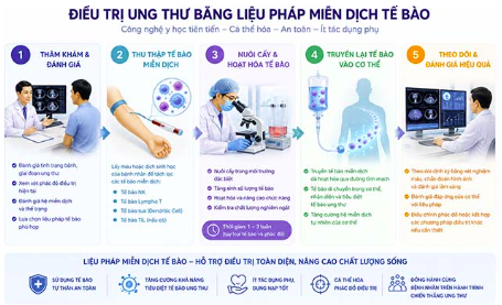 Liệu pháp miễn dịch tế bào: Hành trình 5 bước tại Nhật Bản