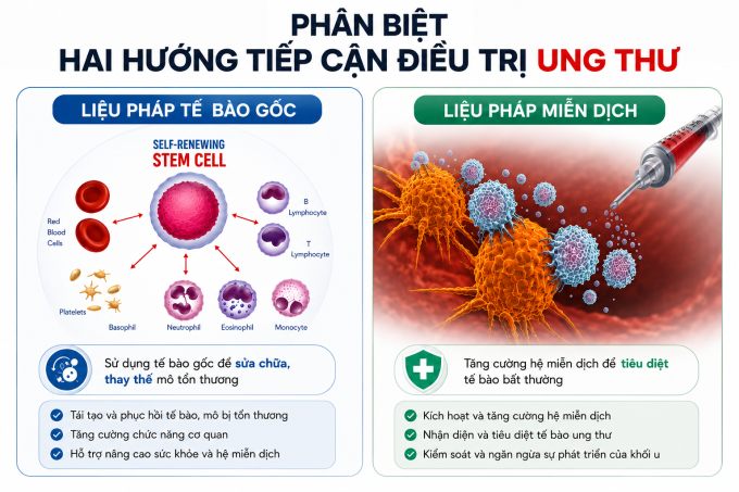 Phân Biệt Liệu Pháp Tế Bào Gốc Và Liệu Pháp Miễn Dịch